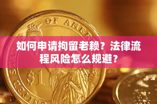 武汉如何申请拘留老赖？法律流程风险怎么规避？