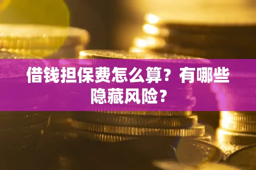 武汉借钱担保费怎么算？有哪些隐藏风险？
