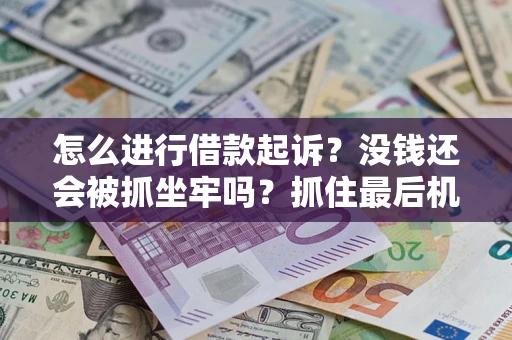 武汉怎么进行借款起诉？没钱还会被抓坐牢吗？抓住最后机会！