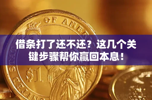 武汉借条打了还不还？这几个关键步骤帮你赢回本息！
