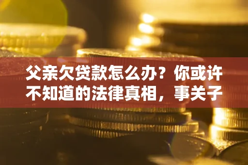 武汉父亲欠贷款怎么办？你或许不知道的法律真相，事关子女未来