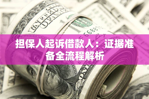 武汉担保人起诉借款人：证据准备全流程解析