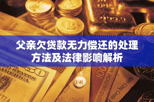 武汉父亲欠贷款无力偿还的处理方法及法律影响解析