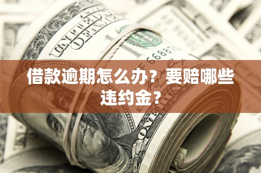 武汉借款逾期怎么办？要赔哪些违约金？
