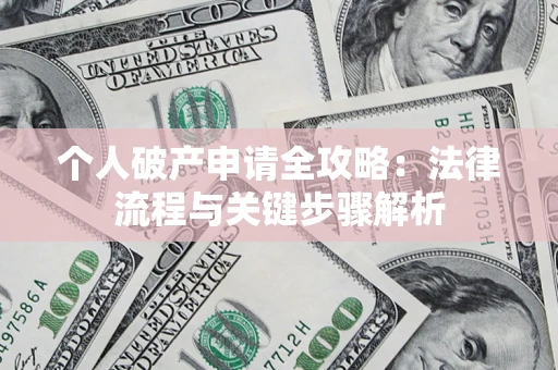 武汉个人破产申请全攻略：法律流程与关键步骤解析